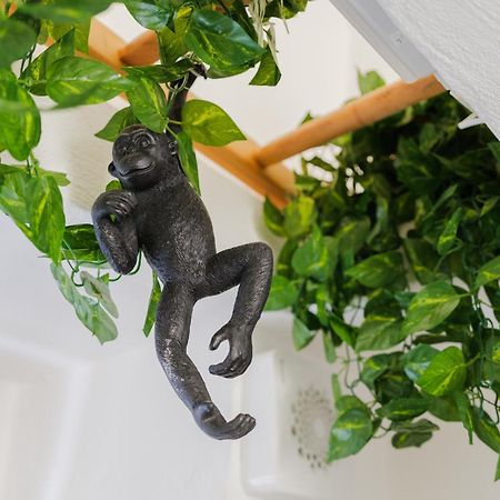 Dimora Lavinia Casa Vacanze Centro Storico Ostuni Eksteriør billede